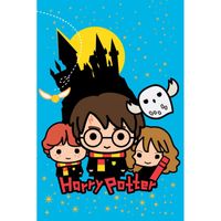 Harry Potter fleece plaid cartoon - 100 x 150 cm (blauw) - thumbnail