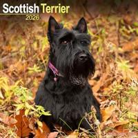 Scottish Terrier Calendar 2026 Square Dog Breed Wall Calendar - 16 Month
