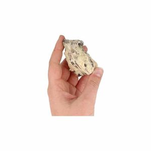 Ruwe Zebradoriet Edelsteen 5-7 cm (80 - 120 gram)