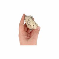 Ruwe Zebradoriet Edelsteen 5-7 cm (80 - 120 gram) - thumbnail