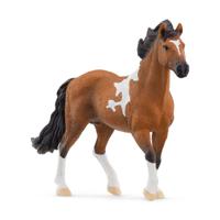 schleich HORSE CLUB Mangalarga Marchador hengst - 13978