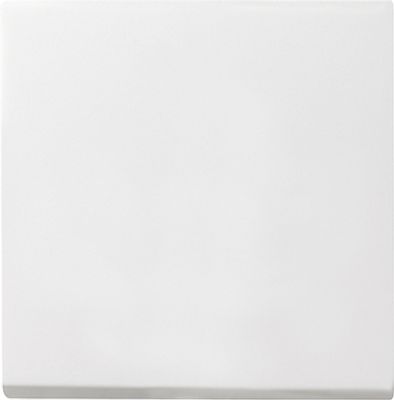 GIRA 029627 Wisselschakelaar, Uitschakelaar, Kruisschakelaar Afdekking System 55, Standaard 55, E2, Event, Event Clear, Event Opaque, Esprit, ClassiX Sneewwit
