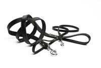 Beeztees Hondenriem van leer, 165 x 1,6 cm, zwart