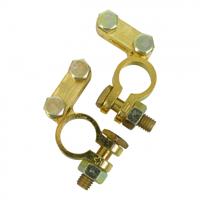 Carpoint accuklemmenset (+) en ( ) DIN 16/18 mm messing goud