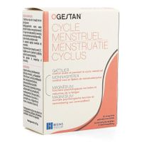 Ogestan Menstruatie Cyclus 60 Tabletten