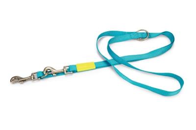 Beeztees Uni - Hondenriem - Nylon - Licht Blauw - 120cmx25mm