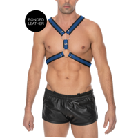 Ouch! by Shots Scottish Leather Harness - L/XL - thumbnail