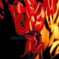 A Strangely Isolated Place - CD (5051083142779)