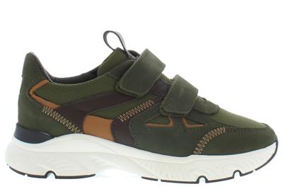 HIP H1367 groen Groen 