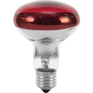 Eurolite 9210360U Halogeen-lamp E27 Reflector 60 W Rood 1 stuk(s)