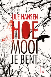 Hoe mooi je bent - Ule Hansen - ebook