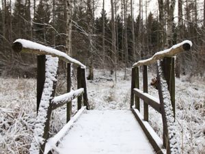 Tuinposter Winter Brug 1