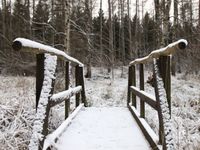 Tuinposter Winter Brug 1