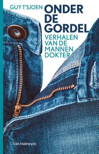 Onder de gordel - Guy T'Sjoen - ebook