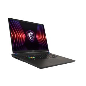 MSI Vector 17 HX A14VHG-643NL Intel® Core™ i9 i9-14900HX Laptop 43,2 cm (17") Quad HD+ 32 GB DDR5-SDRAM 1 TB SSD NVIDIA GeForce RTX 4080 Wi-Fi 7 (802.11be) Windows 11 Home Grijs