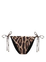 Dolce & Gabbana bas de bikini à imprimé léopard - Marron