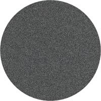 Bosch 10x PRO F355 Schuurblad (voor Beton, Harde steen, Ø 125 mm, Korrel 80, Professional Accessoires Kleine haakse slijper)