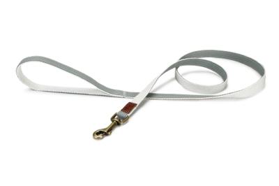 Designed by Lotte Virante - Hondenriem - Mint - 120 cm x 15 mm