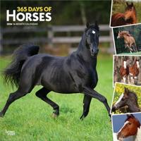 365 Days of Horses 2026 12 X 24 Inch (Hanging) Monthly Square Wall Calendar Plastic-Free