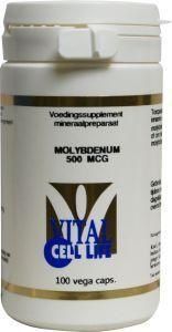 Molybdenum 500 mcg