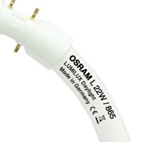 Osram Lumilux T5 Circulair FC 40W - 865  | 30cm