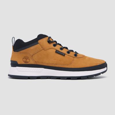 Timberland Timberland field trekker low hiker sneakers geel heren heren