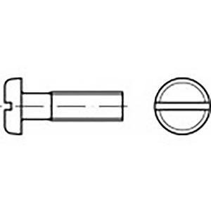 TOOLCRAFT TO-6853248 Platbolkopschroeven M3 16 mm Sleuf DIN 85 Staal 2000 stuk(s)