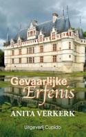 Gevaarlijke erfenis - Anita Verkerk - eBook (9789462040281)