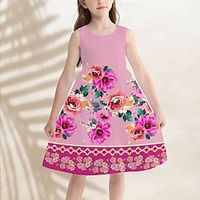 Meisjes Casual jurk A lijn jurk Tank-jurk Mouwloos Grafisch Bloemig 3D-geprinte afbeelding Jurken leuke Style Casual Zoet Boven de knie Polyester Jurk Zomer Lente Kinderen Sport Outdoor Dagelijks Lightinthebox