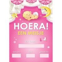 Meisje geboren deurposter