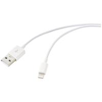 Renkforce USB-kabel USB 2.0 USB-A stekker, Apple Lightning stekker 1.00 m Wit (bevroren) RF-5724084 - thumbnail