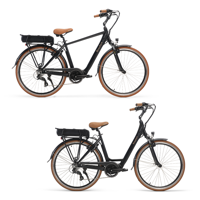 Beaufort Birgit Elektrische Fiets