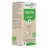 Herbalgem Wijnstok Maceraat Bio 30ml - thumbnail