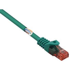 Renkforce RF-5228352 RJ45 Netwerkkabel, patchkabel CAT 6 U/UTP 1.00 m Groen Snagless, Halogeenvrij 1 stuk(s)