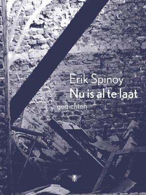 Nu is al te laat - Erik Spinoy - ebook
