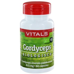 Cordyceps