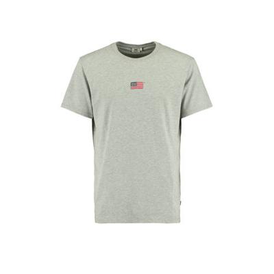America Today T-shirt met borduursels grijs melange