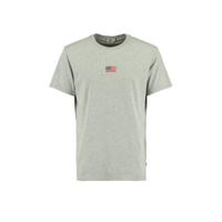 America Today T-shirt met borduursels grijs melange