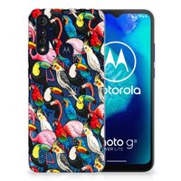 Motorola Moto G8 Power Lite TPU Hoesje Birds