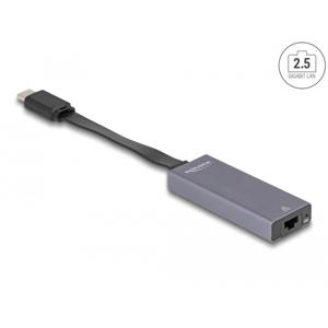 DeLOCK 66248 tussenstuk voor kabels RJ-45 USB C Grijs