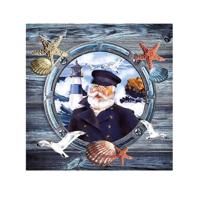 Servetten Zeekapitein 3-laags 40x Stuks - Feestservetten