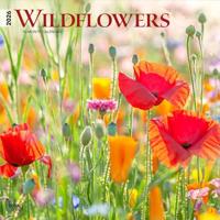 Wildflowers 2026 12 X 24 Inch (Hanging) Monthly Square Wall Calendar Plastic-Free