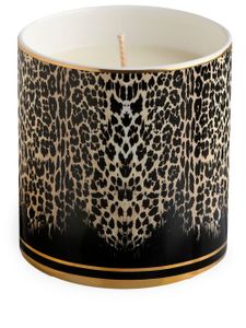 Roberto Cavalli Home bougie parfumée Queen Of Sicily - Noir