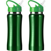 Set van 2x stuks luxe Drinkfles/waterfles 600 ml groen van RVS