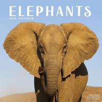Elephants Calendar 2026 Square Wildlife Safari Wall Calendar - 16 Month