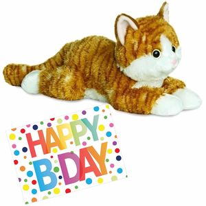 Pluche knuffel kat/poes rood 30 cm met A5-size Happy Birthday wenskaart