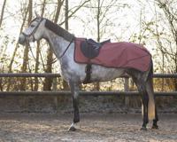 QHP Uitrijdeken Turnout Collection waterproof
