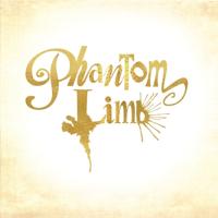 Phantom Limb - CD (8717931324236)
