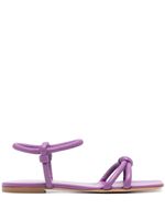 Gianvito Rossi sandales Jaime - Violet - thumbnail