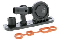 EXPERT KITS + VAICO, Inbouwplaats: Cilinderkop, u.a. für VW, Audi, Seat, Skoda